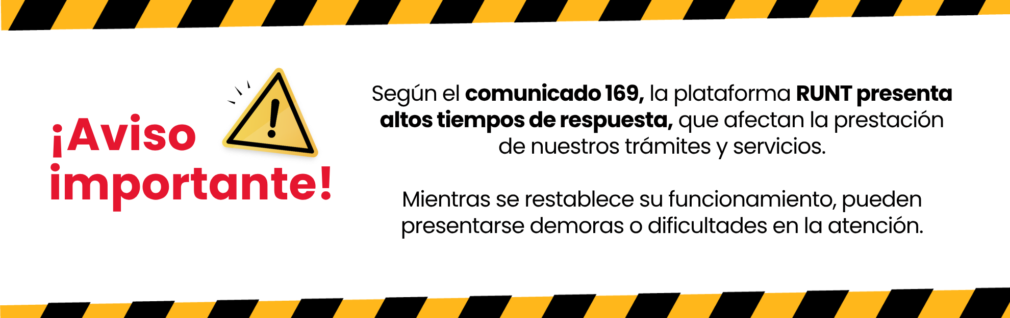 Novedades Runt